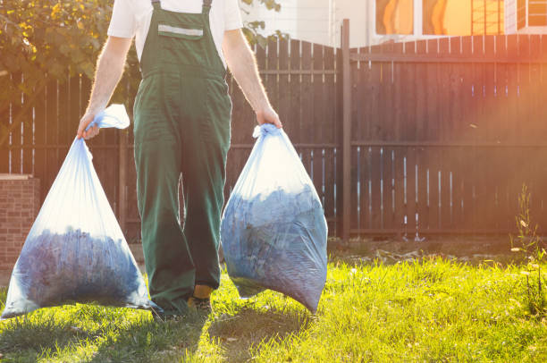 Best Basement Cleanout Services  in Water Valley, MS